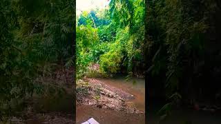 Download lagu story wa ngopi//ngopi alam//ngopi pagi mp3