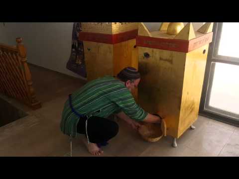 New Half Shekel coins for year 68