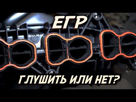 ЕГР. Что это такое? Глушить или нет?