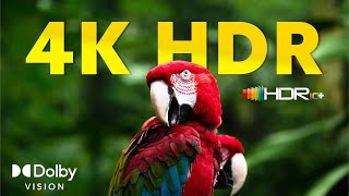 World in 4K HDR DOLBY VISION (60FPS) PART #2 - Filmed #withGalaxy S24 Ultra