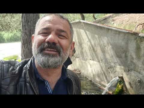 Arif Söylemez - Bir Mezarın İki Taşı Var Elbet