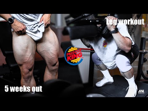 MUSCLE KING GYM TOUR + LEG DAY | Riccardo Tesolin