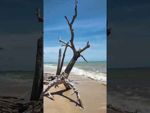 Cumuruxatiba Prado Bahia,12/25