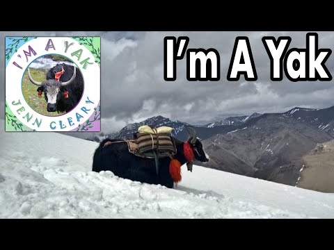“I’m A Yak” Jenn Cleary (Lyric Video)