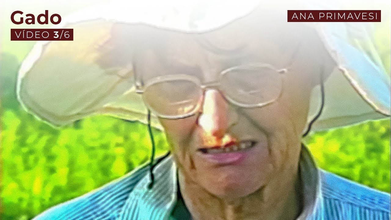 Gado | Ana Maria Primavesi