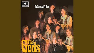 Sticking Wings On Flies