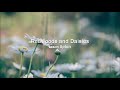 Redwoods and Daisies — Jason Upton (tradução em português)