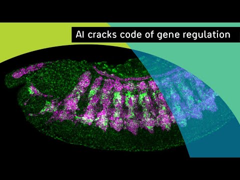 Gene Expression: The Code of Life | Community Health