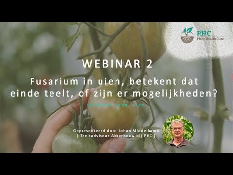 , title : 'Fusarium in uien | Einde teelt of zijn er mogelijkheden?'