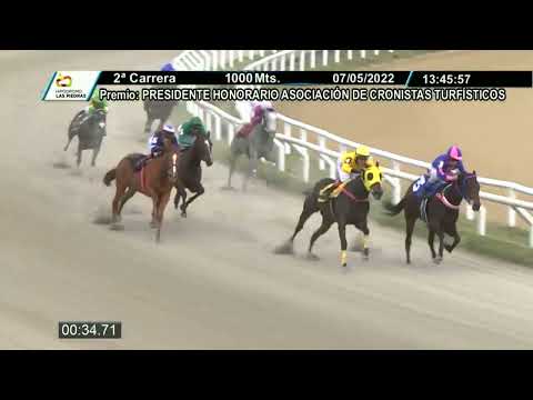 220507 c02 -  PELE MACIA (BRZ) - HIPODROMO LAS PIEDRAS