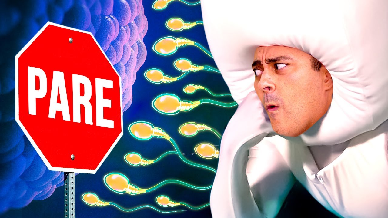 Como funciona a PÍLULA DO DIA SEGUINTE?