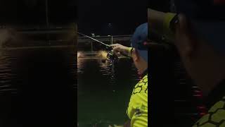 Download lagu Strike Ikan Mas Galatama #umpanikanmasjitu #fishing #ikanmas #mancing #mancingmania #mancingmania mp3