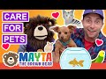 Teaching Kids To Care For Pets Videos For Toddlers