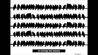 Le courage des oiseau (vynil)/Dominique A