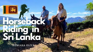 Amazing Views of Nuwara Eliya, Sri Lanka!