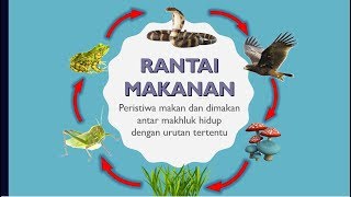 Download lagu Rantai Makanan dan Jaring-Jaring Makanan mp3 Download lagu Rantai Makanan dan Jaring-Jaring Makanan mp3
