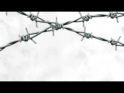 DUSTY LOCANE - NO PROBLEM (Offical Lyric Video)e