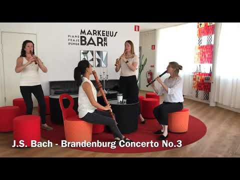 Woodpeckers play Bach - Brandenburg Concerto No.3 Allegro