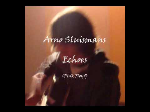 Pink Floyd - Echoes (Cover)