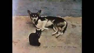 Antonio Adolfo - Cascavel.