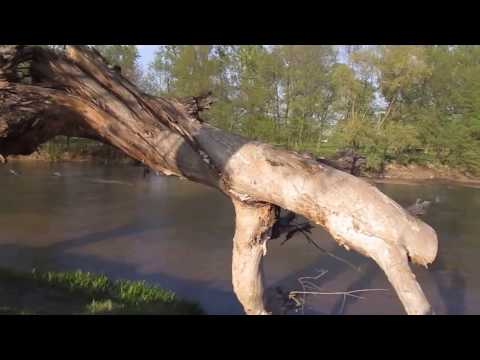 Râul Olteț - Sat Otetelișu