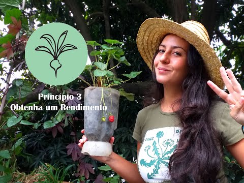Permacultura - Bardoefada