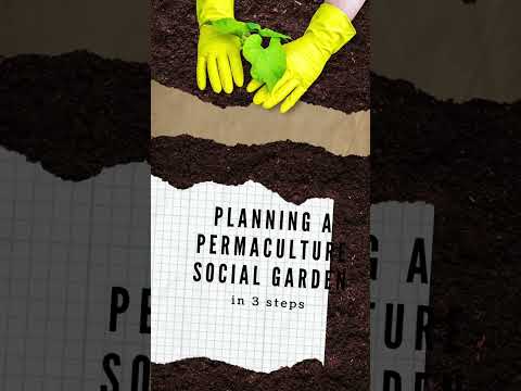 HOPELAND - Planning a Permaculture Social Garden in 3 steps | Active Collective