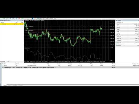 Video BitFalcon Momentum