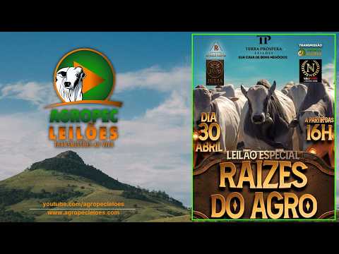 Agropecleiloes.com - LEILÃO ESPECIAL RAIZES DO AGRO | TERRA PRÓSPERA LEILÕES-ALVORADA-TO 30/04/2026