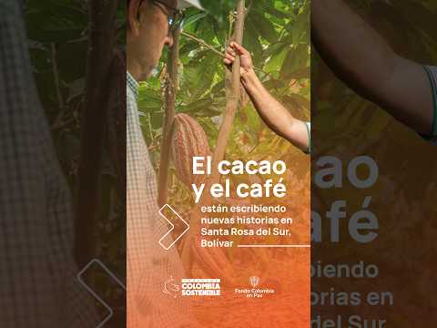 El progreso llegó al campo: cacao, café y nuevas obras