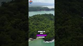 Revolutionizing Environmental Monitoring with Remote Sensing and IoT