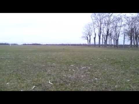 AS Boldur FC - Boldur ArenA