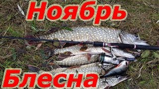 Рыбалка на блесну в ноябре