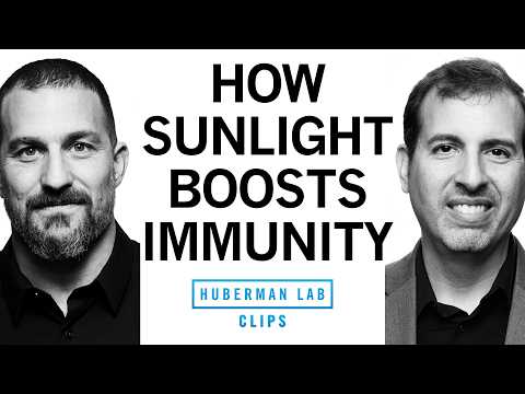 How & When to Get Daily Sunlight to Boost Immunity | Dr. Roger Seheult & Dr. Andrew Huberman