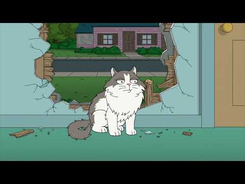 Family Guy - Pouncy, the stray cat (1)