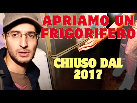 Apriamo un frigorifero chiuso dal 2017 🤢🤮