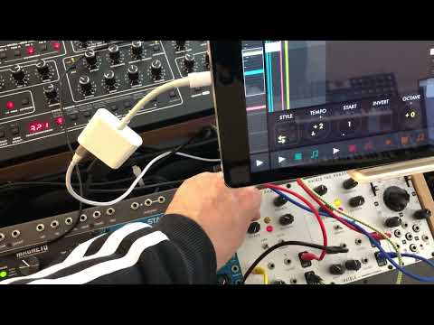 [Teaser] NiftyKeys CV FX Chain with Prophet 10 + iPad Connectivity.