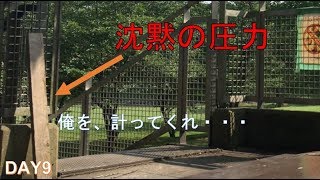 まだまだ手先は器用じゃないの☆[A Robot isn't skillful with his fingers]
