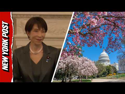 Japan Gifts 250 Cherry Blossom Trees To Mark America's 250th Anniversary
