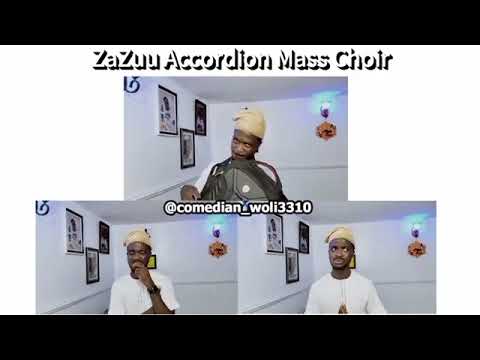 Hilarious Zazu Accordion by Woli 3310  #zazu #woli3310 #portable