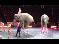 Ringling Brothers Part 2