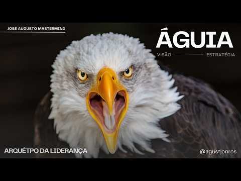 O poder do arquétipo da ÁGUIA ➡ Os verdadeiros sons ➡ Eagle Archetype