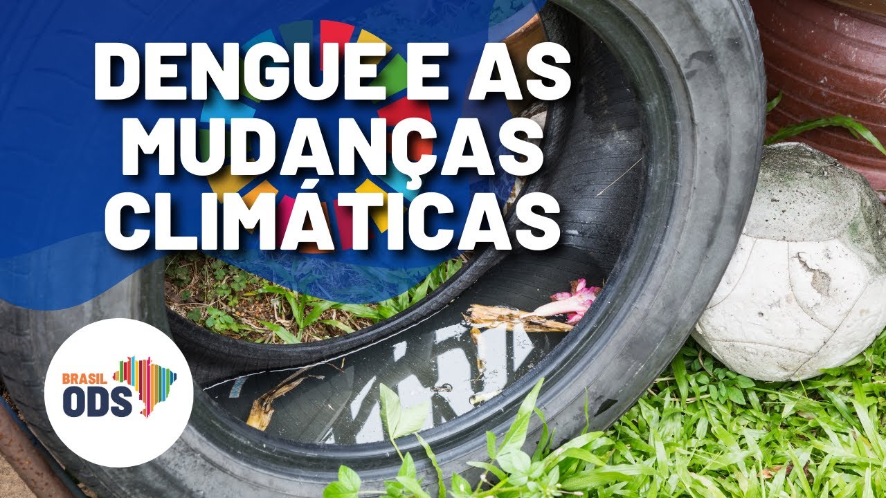 Brasil ODS | Dengue e as mudanças climáticas