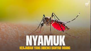 Download lagu Mosquitoes: The Miraculous Insects That Everyone Hates mp3