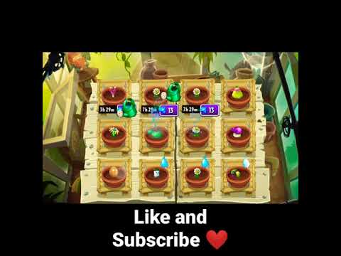 Planting and watering cute zen garden plants - PVZ2