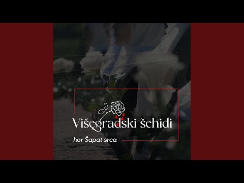 Višegradski šehidi