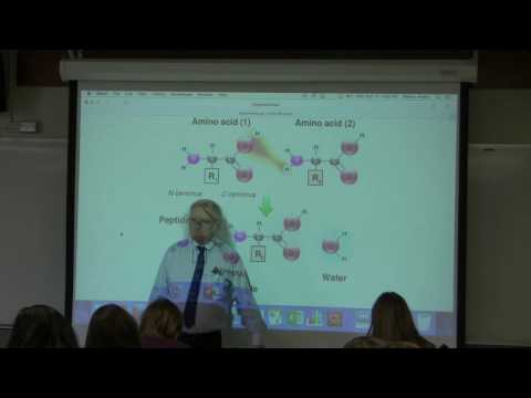 5. Ahern's BB 350 at Oregon State University - Protein Structure I