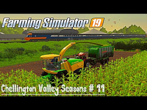 We prepare silage from corn for cows | Chellington Valley Seasons # 11 | FS19 TimeLapse