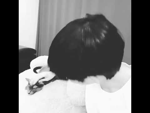 2016 Kim HEECHUL with his pets /IG updates compiled Part 1