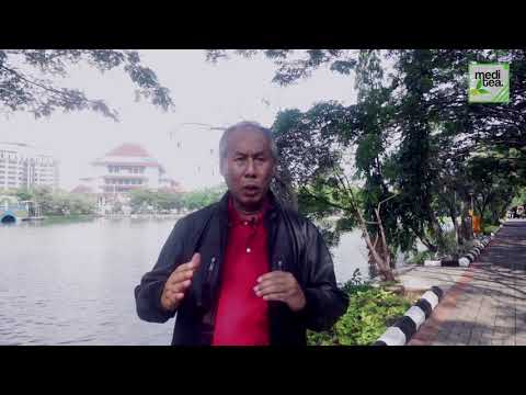 Apa kecil titik pada kulit anggota dari Herbal untuk impotensi